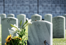 Veterans Day 2025: Veteran Grave Markers: Preserve, Honor, Remember